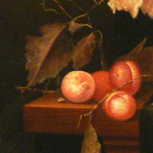 Fruit - Th. Aenvanck - part 1